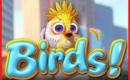 Birds! Slots Birds! Slots