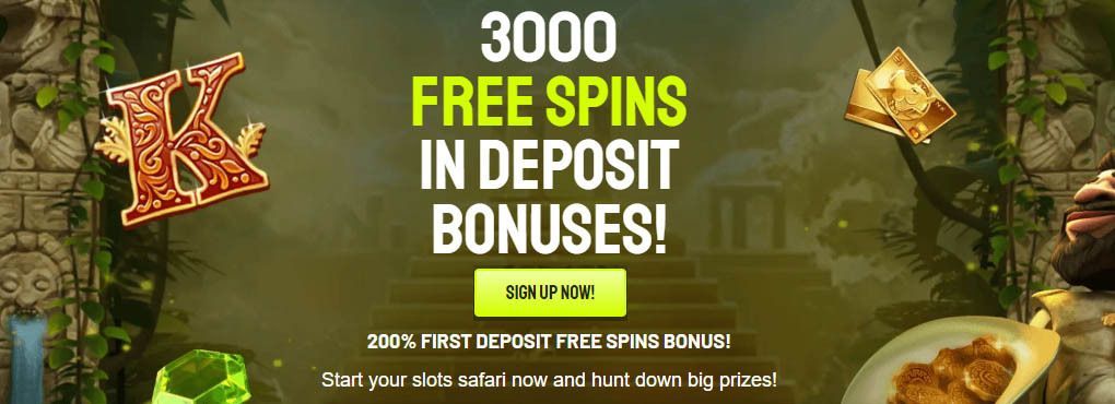Lucky Jungle Casino No Deposit Bonus Codes