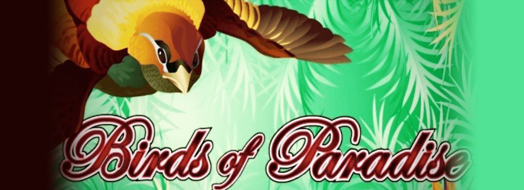 Birds of Paradise Slots