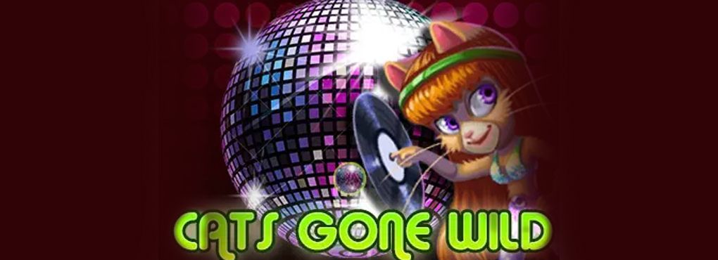 Dance to Disco Music as you Play Cats Gone Wild Slots