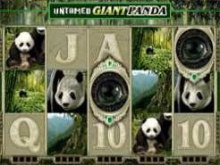 Untamed Giant Panda Slots