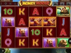 Money Moose Slots